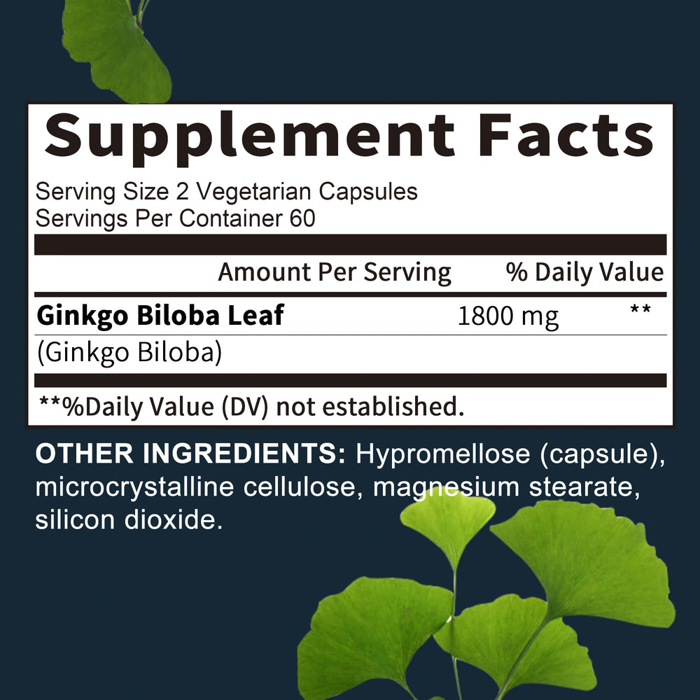 Ginkgo Biloba Capsules – Boost Brain Function, Memory & Circulation – 120 Capsules