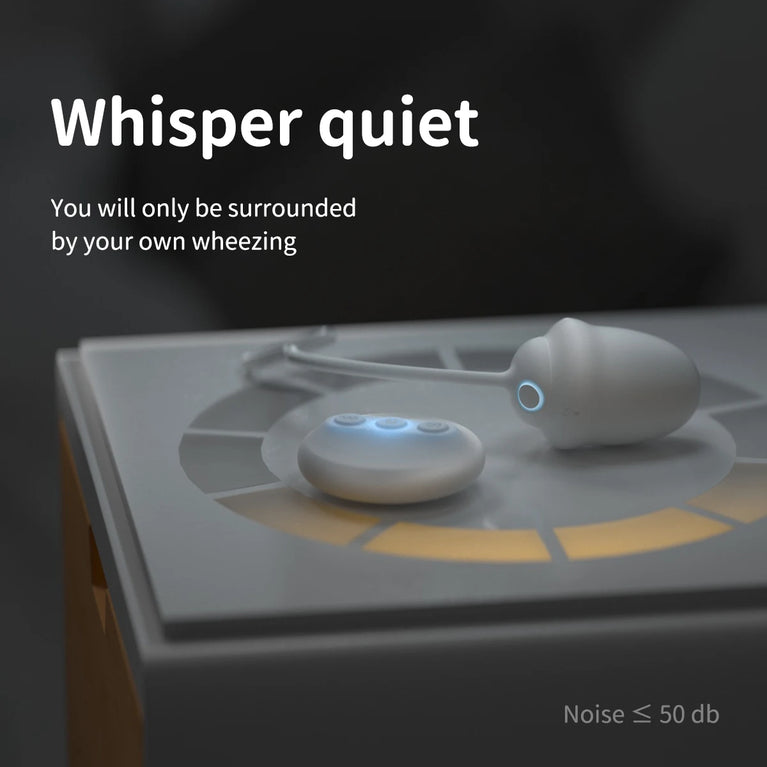 DRY WELL Wireless Vibrating Panties with Remote Control – Silent Wearable Pleasure Balls for Women