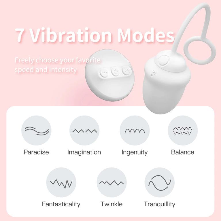 DRY WELL Wireless Vibrating Panties with Remote Control – Silent Wearable Pleasure Balls for Women