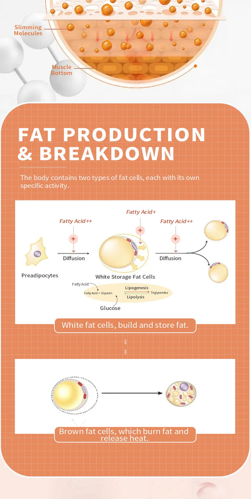 Seven Break Gel 7 β Slimming & Moisturizing Body Massage Cream π₯β¨