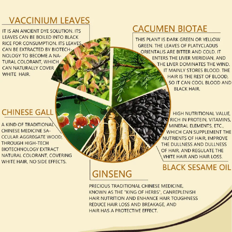 FAN KANG -Permanent Hair Dye Shampoo For Women Men Chestnut Coffee Black Fast Hair Coloring Dying Shampoo Natural Plant Essence Cream