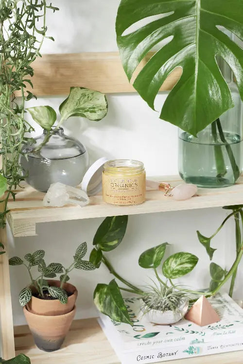 Sea Buckthorn Facial Moisturizer / Organic Face Moisturizer White Smokey