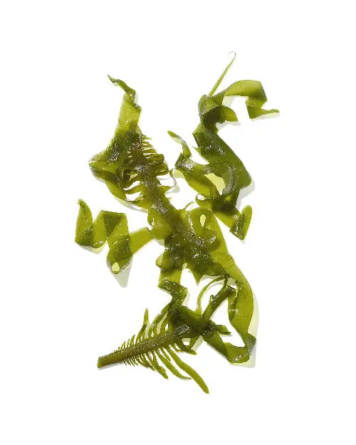 Mekabu Hydrating Salon Size Conditioner Green Saffron