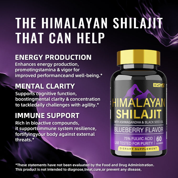 BSYS Shilajit Gummies – Natural Energy, Stamina & Vitality Boost (60 Gummies)