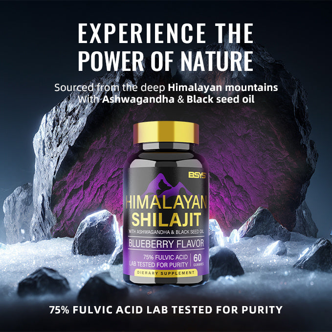 BSYS Shilajit Gummies – Natural Energy, Stamina & Vitality Boost (60 Gummies)